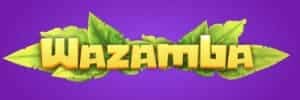 Blaze cassino download